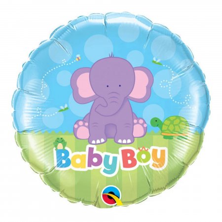 Baby Boy Elephant