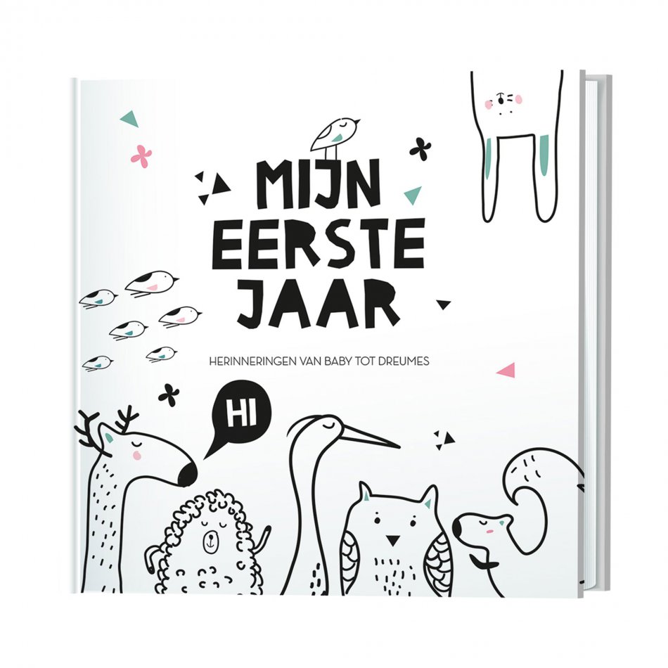 Mijn eerste jaar